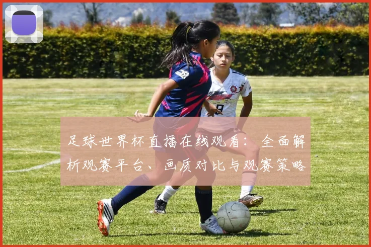 足球世界杯直播在线观看：全面解析观赛平台、画质对比与观赛策略