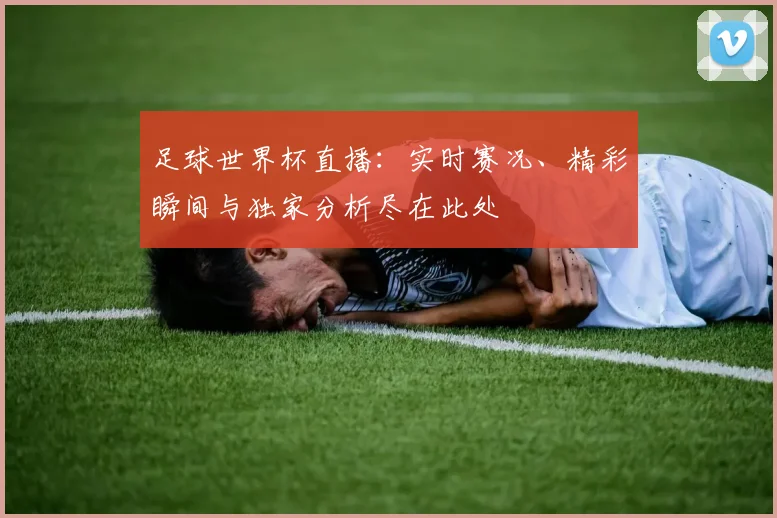 足球世界杯直播：实时赛况、精彩瞬间与独家分析尽在此处